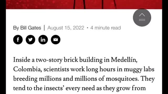 BILL GATES and his mosiquitos