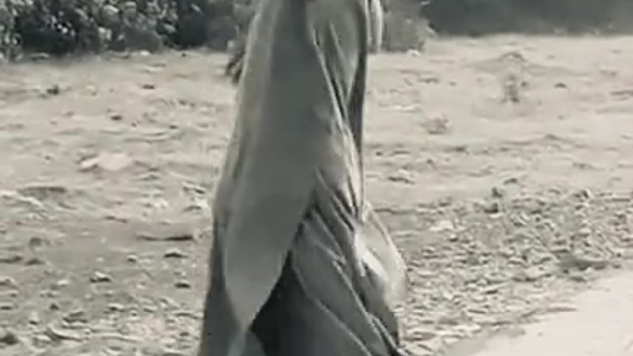 New dance