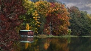 Relax Library: Video 53. Boat House 2. Birds in the forest