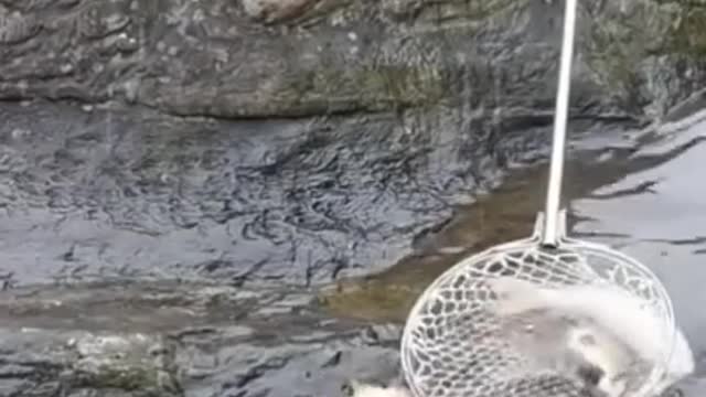 Try not to laugh, creative fishing!!