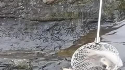 Try not to laugh, creative fishing!!
