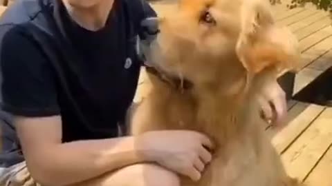 Dog lovable reaction