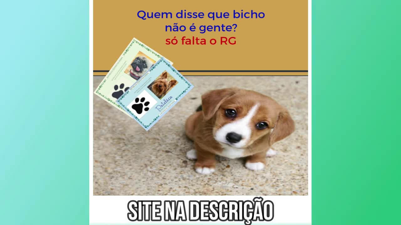 try not to laugh funny dogs whatsapp very funny 😂😂😂 funny and cute pets 2021