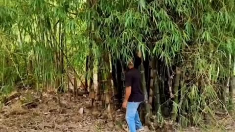 इसने एसा क्यू किया 😱😨