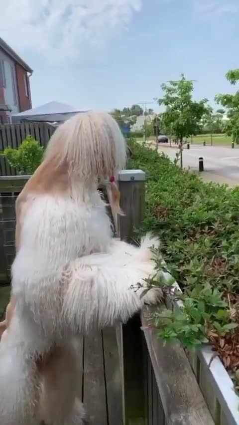 🤣🤣🤣 Hi hi good morning everyone 🤣🤣🤣