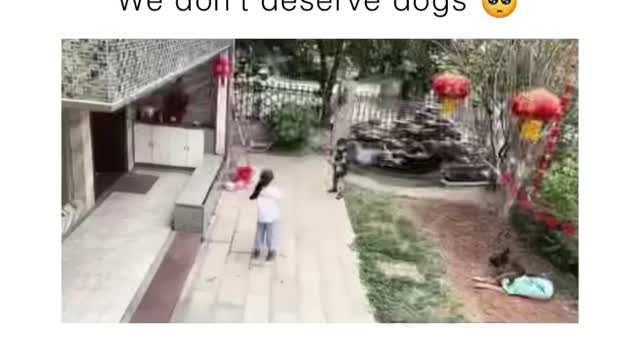 THIS IS AMAZING DIG SAVES KID