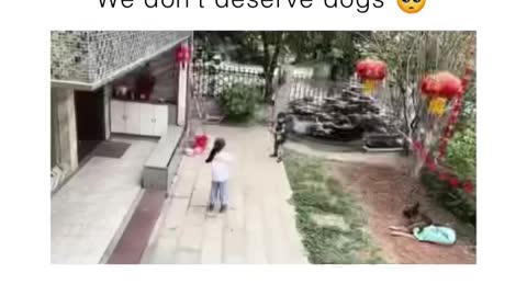 THIS IS AMAZING DIG SAVES KID