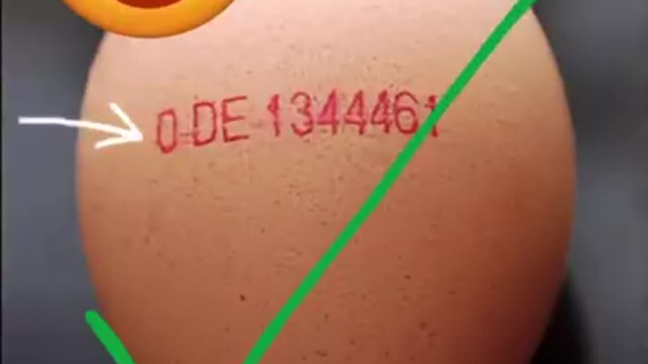 Eggs