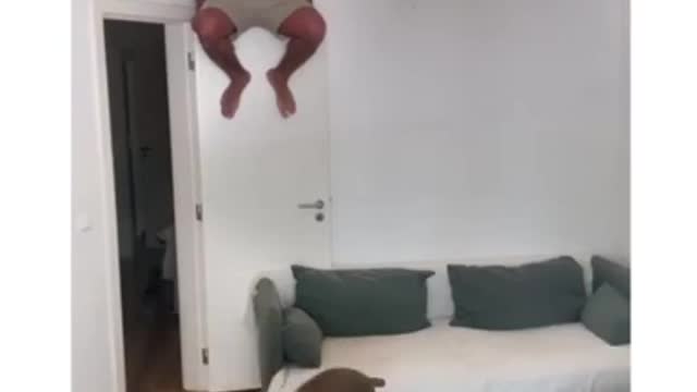 Guy Climbs on Door and Confuses his Pets by Calling Them in Room