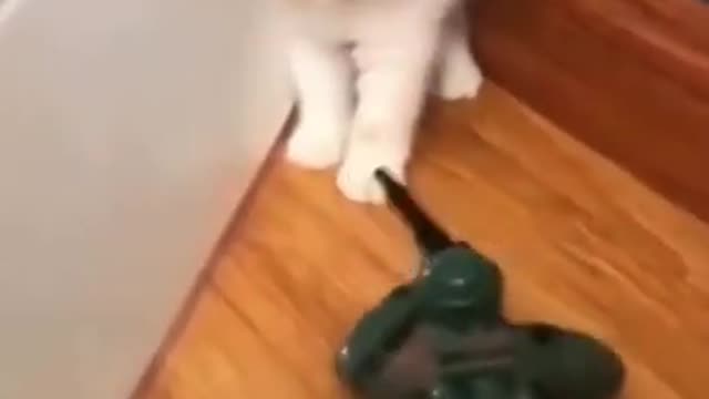 Cutest Cat frightened by soldier toy :3