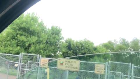 Y’all are barking up the wrong tree