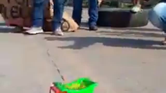 Queman volqueta en medio del paro ...