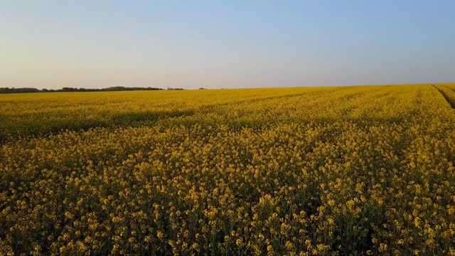 Meditation Video Calm Music Feel Relax and stress free moments