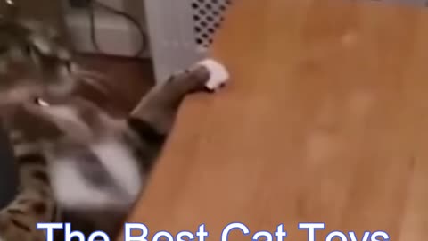 Me Owwww