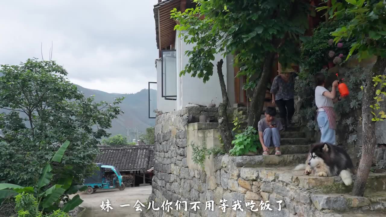 Herbs - The Herbal Sprites Living in the Deep Mountains of Yunnan