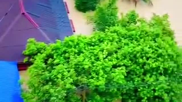 Flood