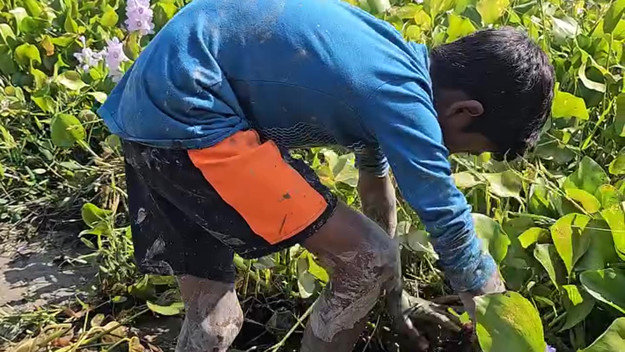 Bengali fish catching,target, enjoyment