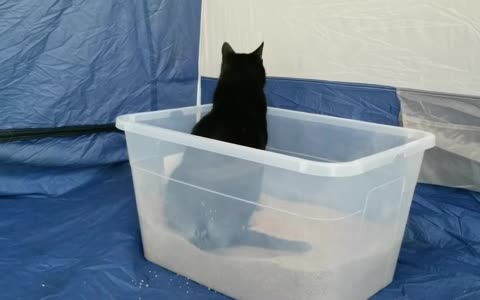 20240222 092631 Tux Litter Box