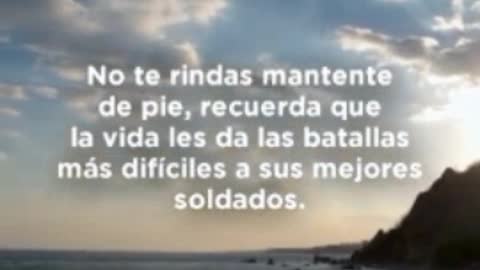 Reflexiones de la vida
