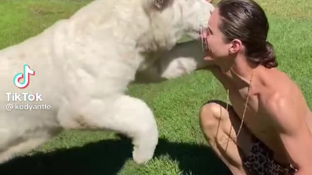 Hombre montando un tigre blanco.