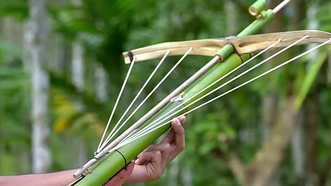 Bamboo creation with new crossbow