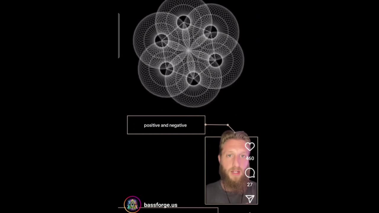 A visualization of Terrence Howards description of the Flower of Life