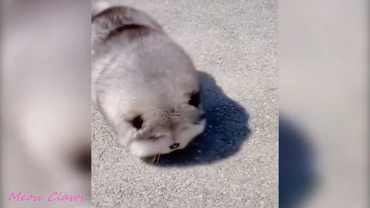 los mas lindo y ah durable que puedes ver en este video li te lo pierdas