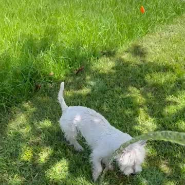 Brooksley Bites Water