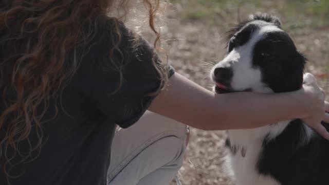 Cute dog with master