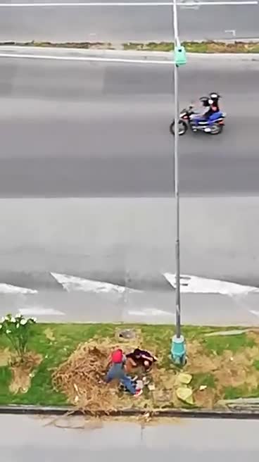 Vigilante ciudadano: hurto de bienes públicos