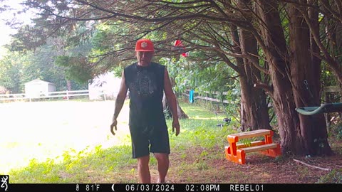 Summer time in the South