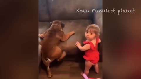Animal Funny Video 2024.