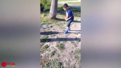 Funnyy goose chasing kids