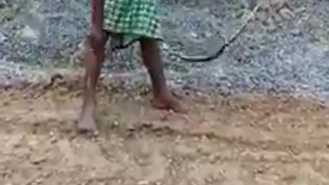 funnyman playingsnake