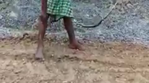 funnyman playingsnake