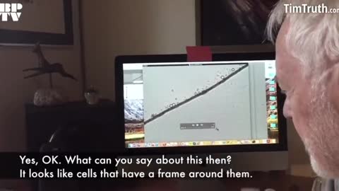 Pfizer Microscopy Analysis - Presented by Dr. Erik Enby