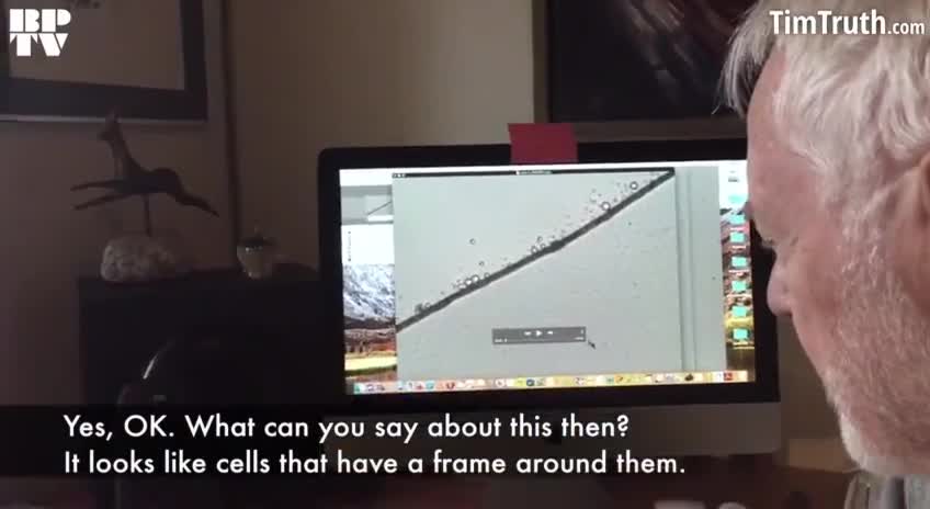 Pfizer Microscopy Analysis - Presented by Dr. Erik Enby