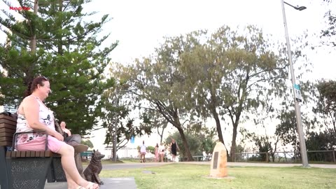 #Cowboy_prank in Melbourne and Brisbane . super funny reactions. lelucon statue prank. luco patung