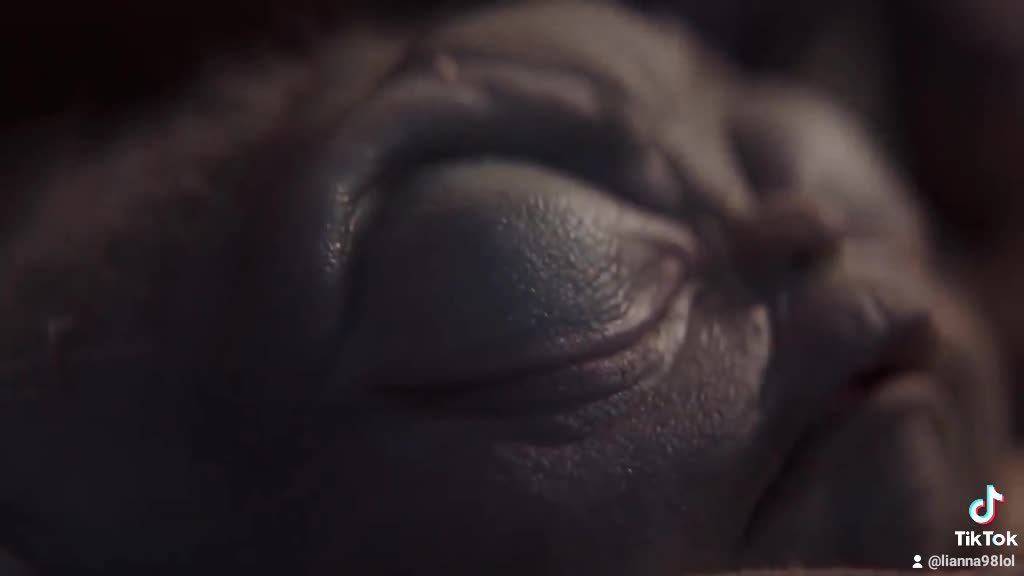 Baby Yoda Baby Baby Yoda (the original)