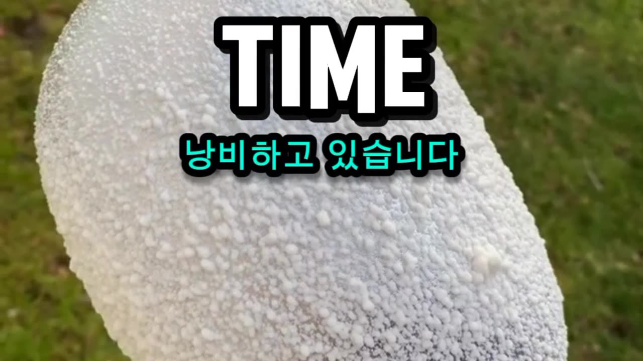 Must watch this video (Korean subtitle)