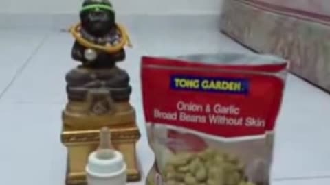 This doll's powder is a spirit created by a magician
