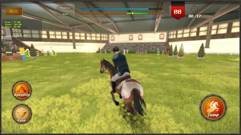Jumping Horses Champions