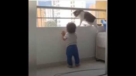 The cat warns a child not to fall