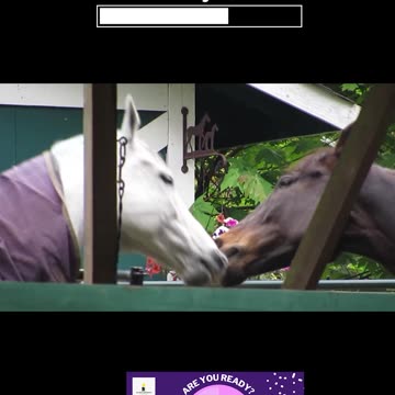 Horsing around can lead to this !