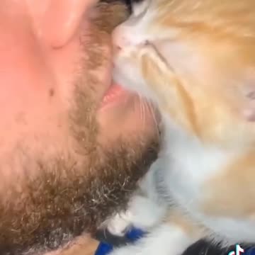 Funny Pets, Cat Funny Moment with the Boy🥰🥰