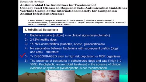Therapy for Urinary Tract Disease in Dogs and Cats