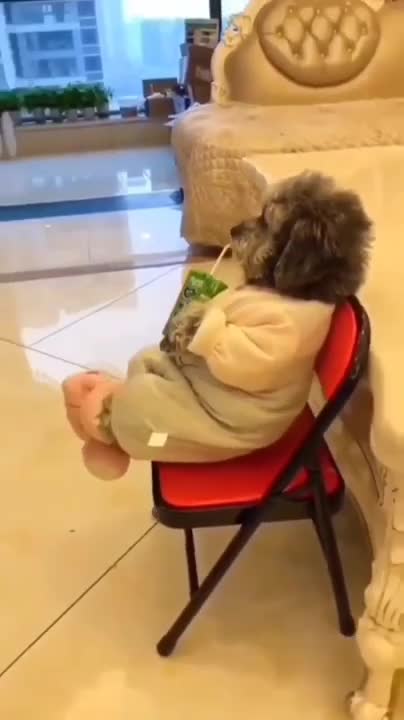 What Sleeping With Two Snuggly Huskies Is Like..