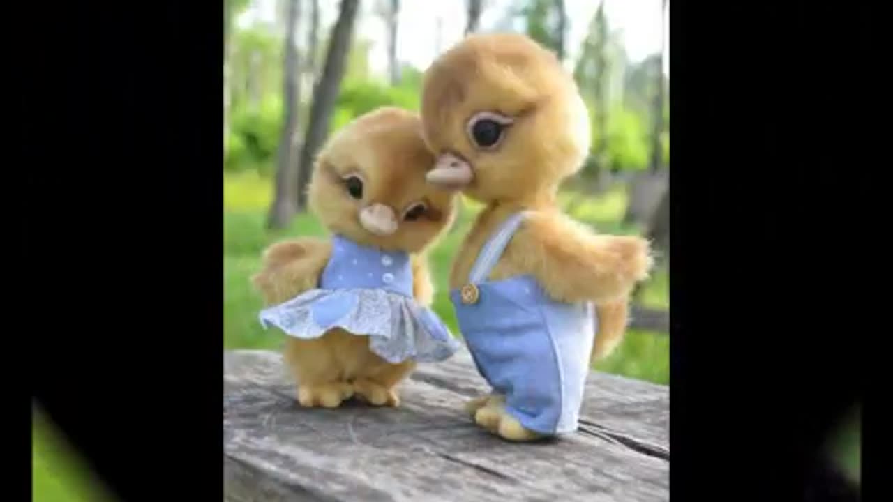cute animal funny movment 3