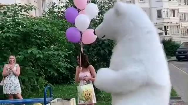 [Видео] «🥰🐻‍❄️» в 2022 г | Смешные животные, Странные животные, Забавные зверюшки