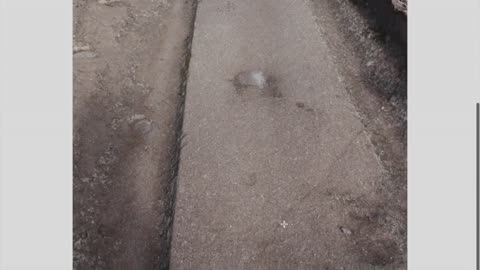 Tracks of the Gods